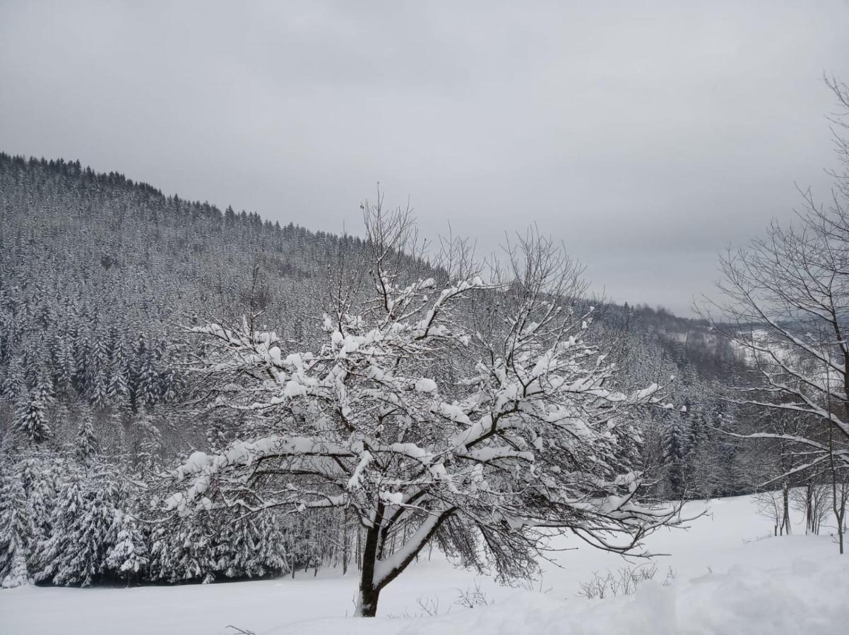 Agroturystyka Oblica ซาวอยา ภายนอก รูปภาพ
